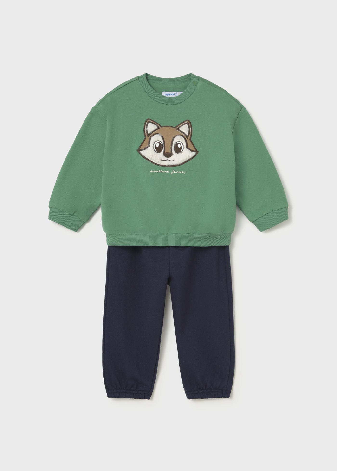 CONJUNTO ZORRITO